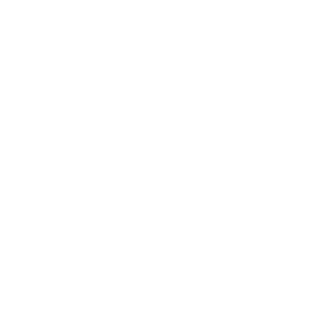 DNI Group Logo